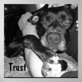 動物信託 ポスター (正面)