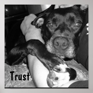 動物信託 ポスター