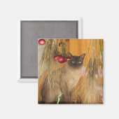 動物写真磁石ポーズ付きシャム猫#3 マグネット (正面/裏面)