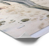 動物勉強 ポスター (角)