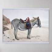 動物勉強 ポスター (正面)