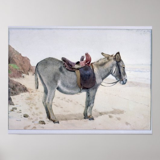 動物勉強 ポスター (正面)