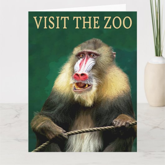動物園でマンドリルを見てみよう カード (正面)