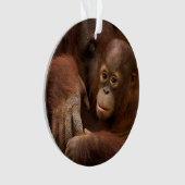 動物園のオランウータンの親子 オーナメント (正面)