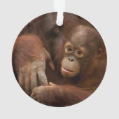 動物園のオランウータンの親子 オーナメント (裏面)