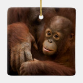 動物園のオランウータンの親子 セラミックオーナメント (裏面)
