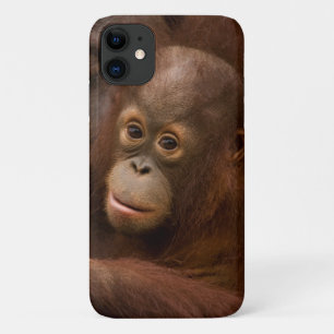 動物園のオランウータンの親子 iPhone 11 ケース