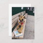 動物園のコスプレブックおもしろい犬フォトカード サンキューカード (正面/裏面)