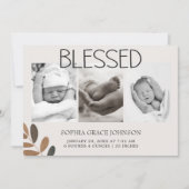 動物園のサファリの赤ちゃん動物のお知らせ 招待状 (正面)