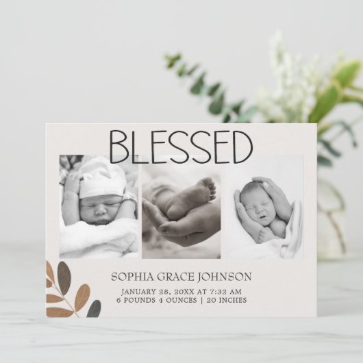 動物園のサファリの赤ちゃん動物のお知らせ 招待状 (スタンド正面)