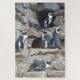 動物園のパズル：かわいいペンギン ジグソーパズル