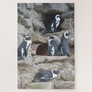 動物園のパズル：かわいいペンギン ジグソーパズル