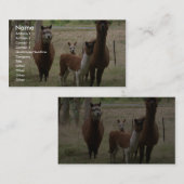 動物園のブラウンのかわいいアルパカ 名刺 (正面/裏面)