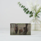 動物園のブラウンのかわいいアルパカ 名刺 (スタンド正面)