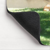 動物園の写真 マウスパッド (コーナー)