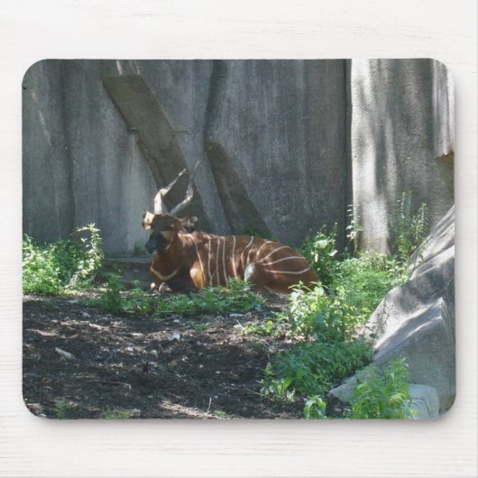 動物園の写真 マウスパッド (正面)