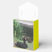 動物園の愛 フェイバーボックス (オープン)