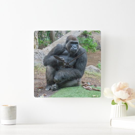 動物園の正方形の柱時計のゴリラ スクエア壁時計 (ホーム)