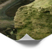 動物園の熱帯雨林の展示ポスター ポスター (角)