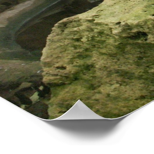 動物園の熱帯雨林の展示ポスター ポスター (角)