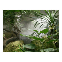 動物園の熱帯雨林の展示ポスター