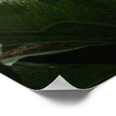 動物園の熱帯雨林の展示 ポスター (角)