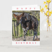 動物園の誕生日カードのオカピ カード (黄色い花)