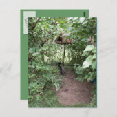 動物園の鳥小屋 ポストカード (正面/裏面)