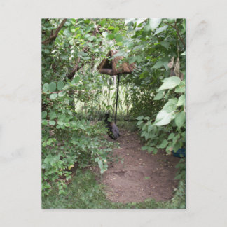 動物園の鳥小屋 ポストカード