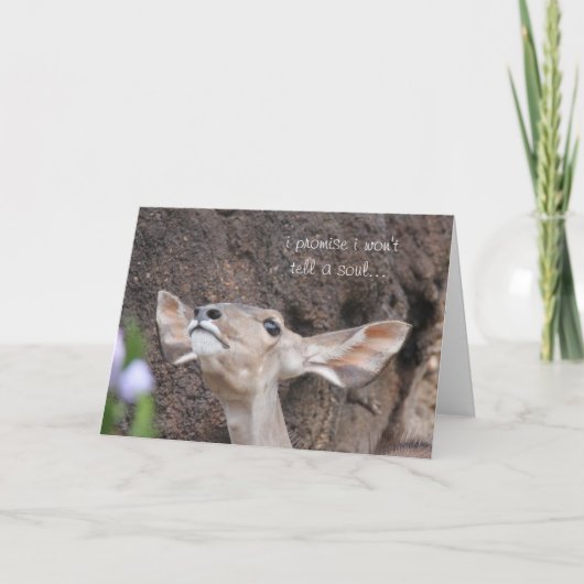 動物園カード、誕生日、私は私が精神を言わないことを約束します カード (正面)