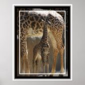 動物園ベビー1 ポスター (正面)