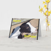 "動物園ヤギ"のバースデー・カード カード (黄色い花)