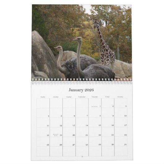 動物園動物 カレンダー (1月 2026)
