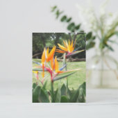 動物園2での楽園の鳥 ポストカード (スタンド正面)