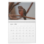 動物園 カレンダー (3月 2026)