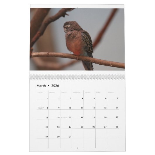 動物園 カレンダー (3月 2026)