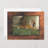 動物園 ポストカード (正面/裏面)