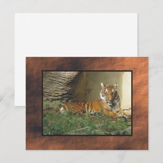 動物園 ポストカード (正面/裏面)