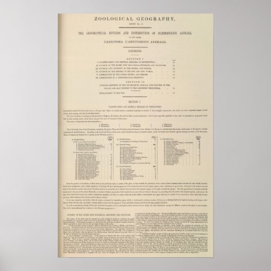 動物地理学カーニヴォラ ポスター (正面)