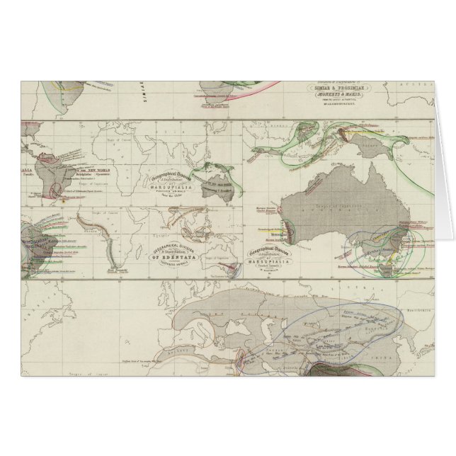 動物地理学 (正面横)