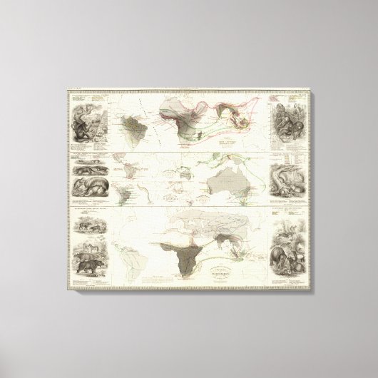 動物地理学 キャンバスプリント (正面)