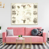 動物地理学 キャンバスプリント (インサイチュ (リビング))