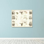 動物地理学 キャンバスプリント (インサイチュ (ウッドフロア))