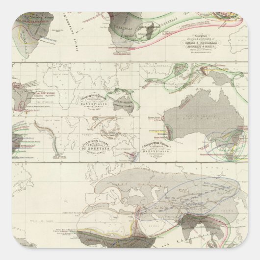 動物地理学 スクエアシール (正面)