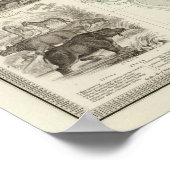 動物地理学 ポスター (角)