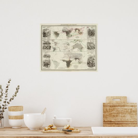 動物地理学 ポスター (キッチン)