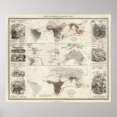 動物地理学 ポスター (正面)