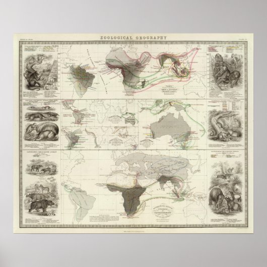 動物地理学 ポスター (正面)