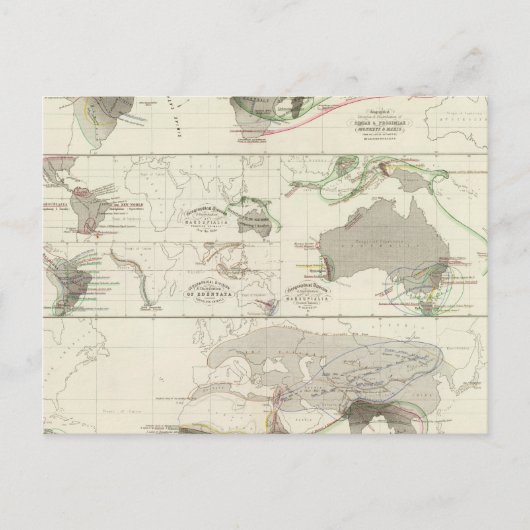 動物地理学 ポストカード (正面)