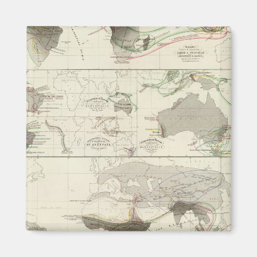 動物地理学 マグネット (正面)